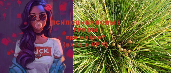 мдпв Вяземский