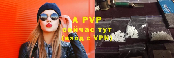 мдпв Вяземский
