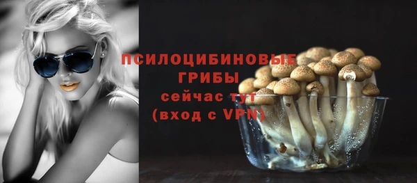 мдпв Вяземский