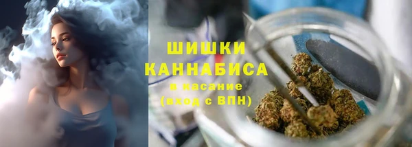 мдпв Вяземский