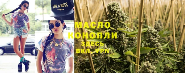 мдпв Вяземский