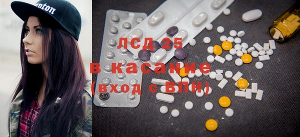мдпв Вяземский