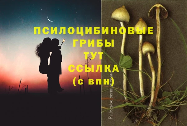 мдпв Вяземский