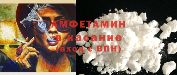 мдпв Вяземский