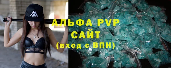 мдпв Вяземский