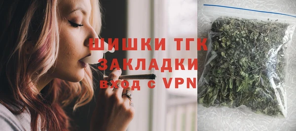 мдпв Вяземский