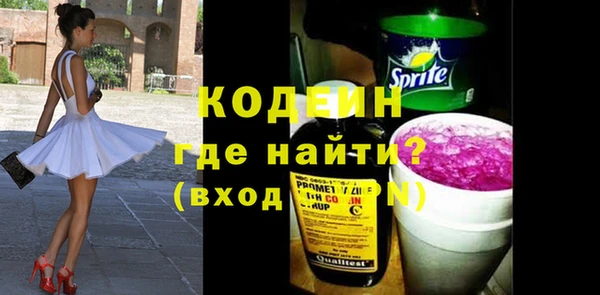 мдпв Вяземский