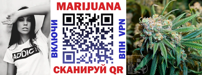 Каннабис семена  Павловская 